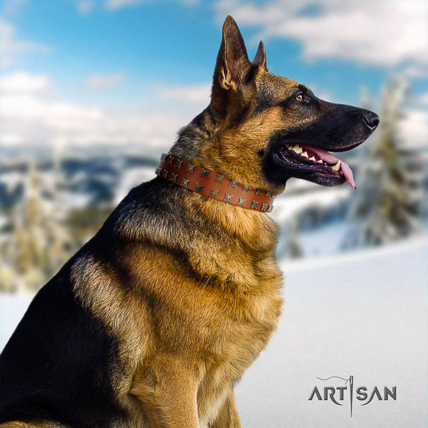 German Shepherd Dog top notch adorned full grain natural leather dog collar