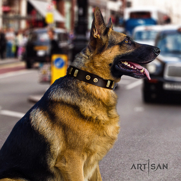 German Shepherd Dog unusual adorned natural genuine leather dog collar