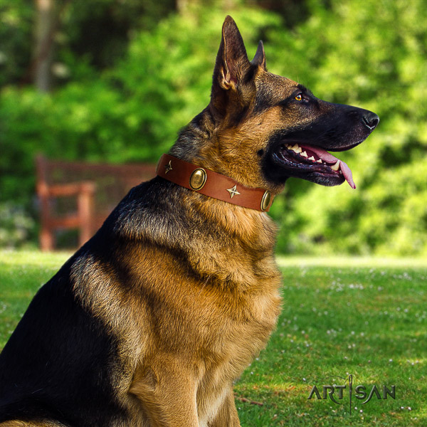 German Shepherd Dog trendy studded full grain genuine leather dog collar