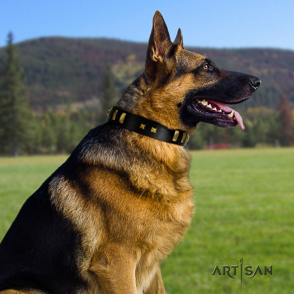 German Shepherd Dog fashionable embellished leather dog collar