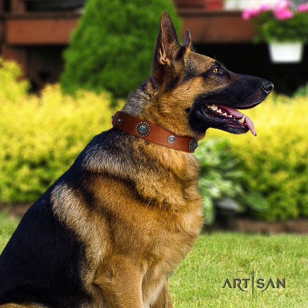 German Shepherd Dog stylish design adorned full grain leather dog collar for easy wearing