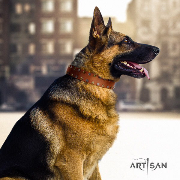 German Shepherd Dog exquisite adorned natural genuine leather dog collar