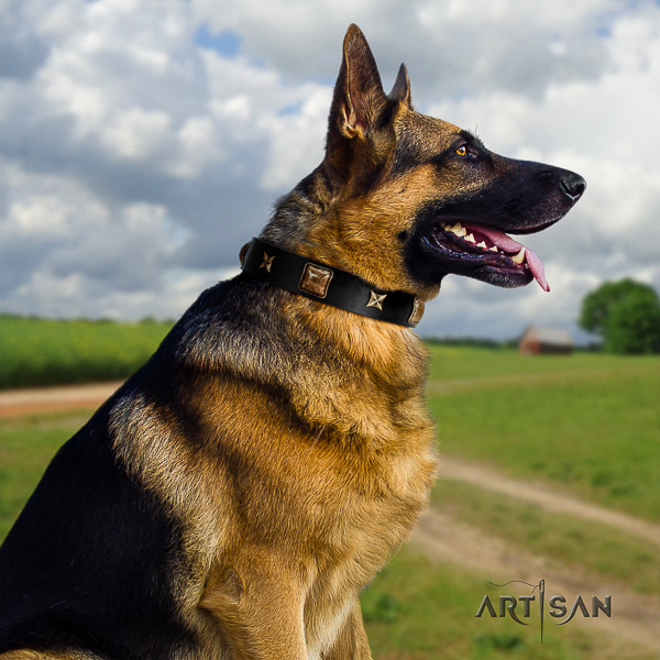 German Shepherd Dog exquisite studded genuine leather dog collar