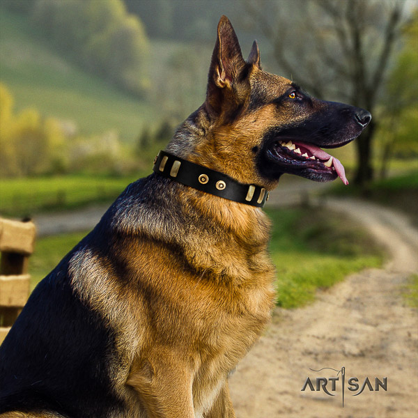 German Shepherd Dog stunning decorated full grain genuine leather dog collar