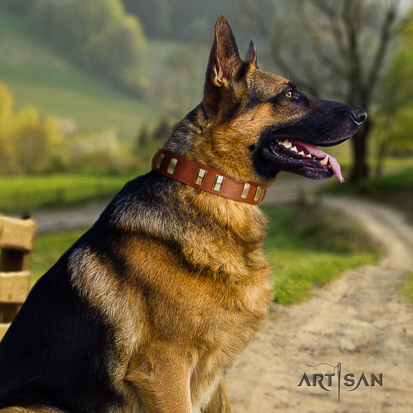 German Shepherd Dog incredible adorned natural genuine leather dog collar