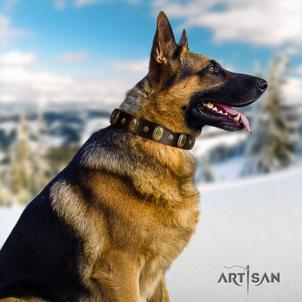 German Shepherd Dog stylish design embellished natural genuine leather dog collar