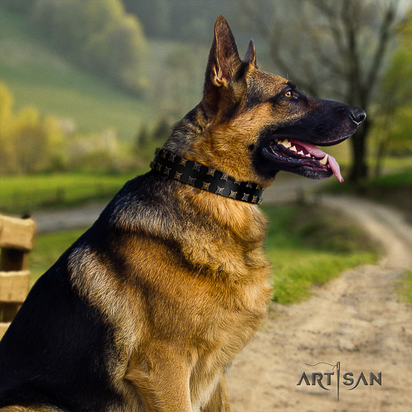 German Shepherd Dog stylish adorned full grain leather dog collar