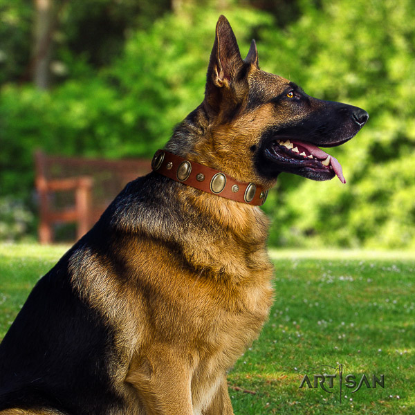 German Shepherd Dog impressive adorned full grain natural leather dog collar