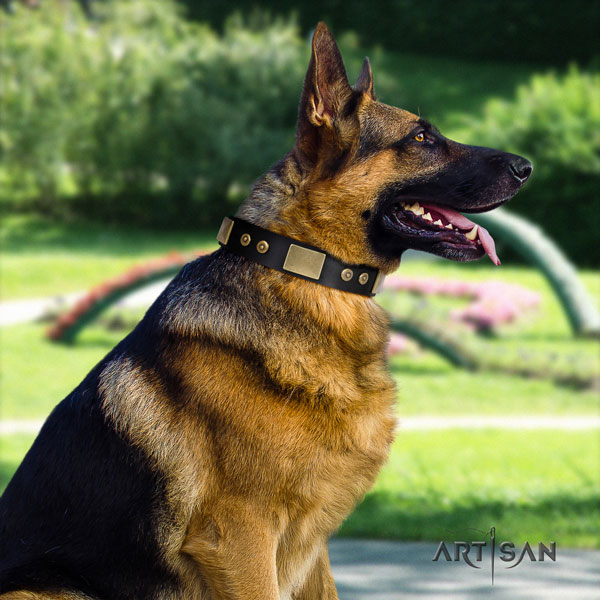 German Shepherd full grain natural leather dog collar with embellishments for your lovely canine