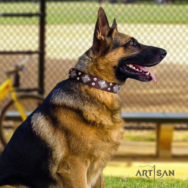 German Shepherd leather dog collar with decorations for your attractive canine