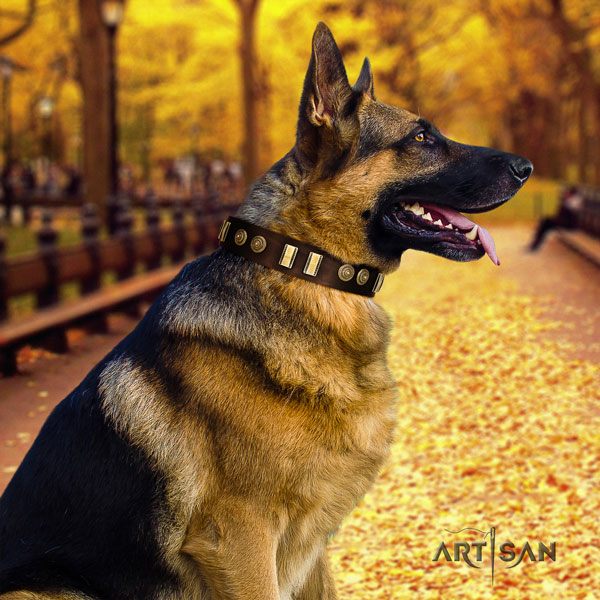 German Shepherd genuine leather dog collar with adornments for your handsome doggie
