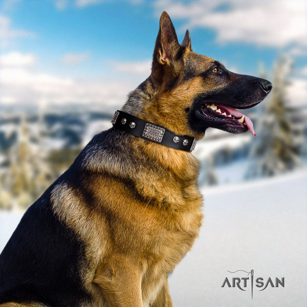 German Shepherd natural genuine leather dog collar with adornments for your handsome pet