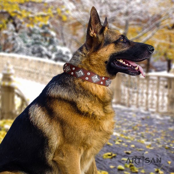 German Shepherd genuine leather dog collar with studs for your handsome dog
