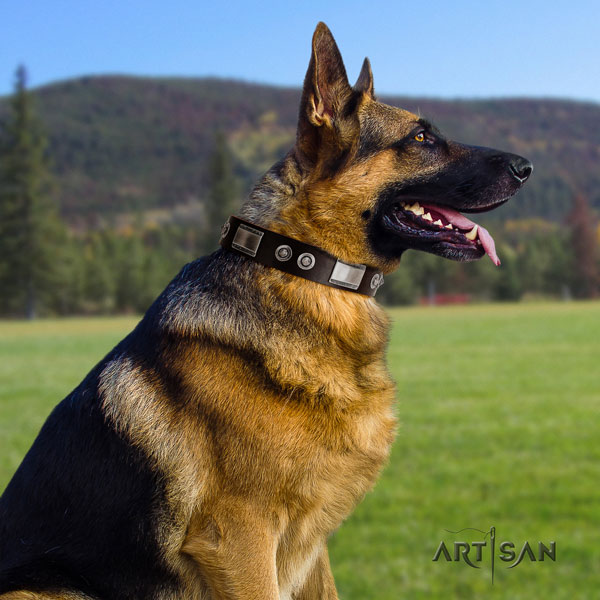 German Shepherd full grain natural leather dog collar with embellishments for your attractive doggie