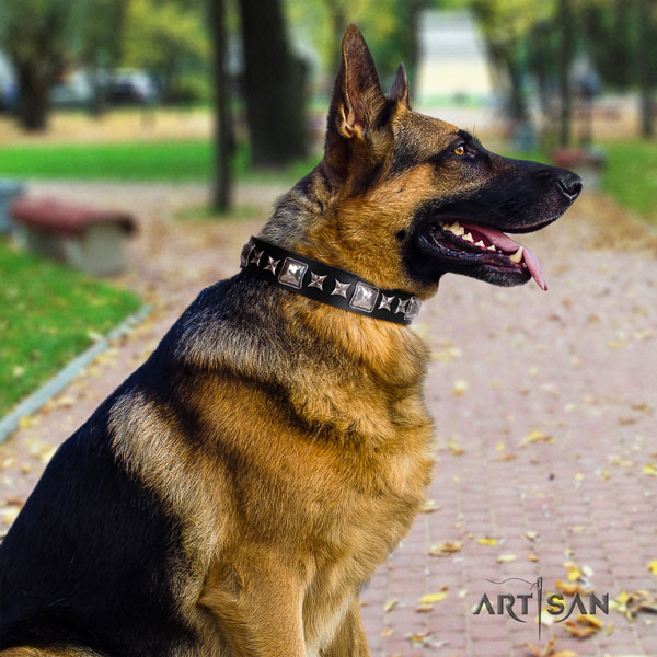 German Shepherd full grain genuine leather dog collar with adornments for your beautiful pet