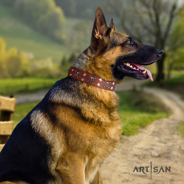 German Shepherd full grain natural leather dog collar with decorations for your handsome dog