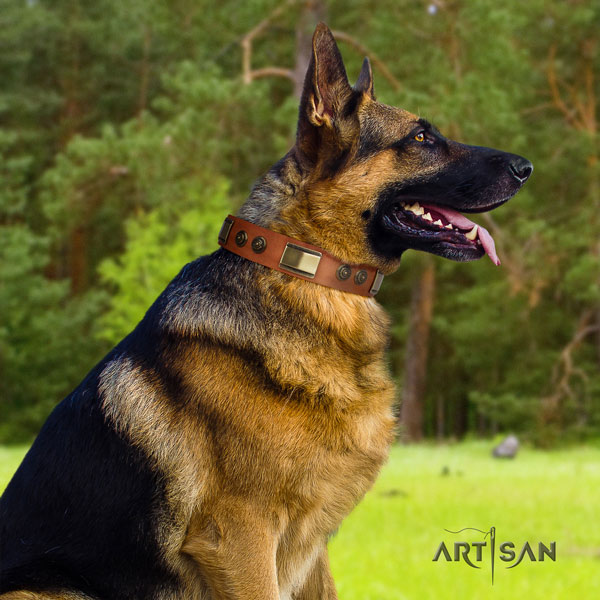 German Shepherd natural genuine leather dog collar with decorations for your impressive four-legged friend