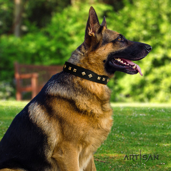 German Shepherd leather dog collar with decorations for your impressive canine