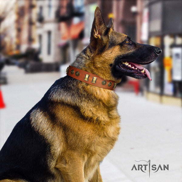 German Shepherd natural genuine leather dog collar with studs for your impressive canine