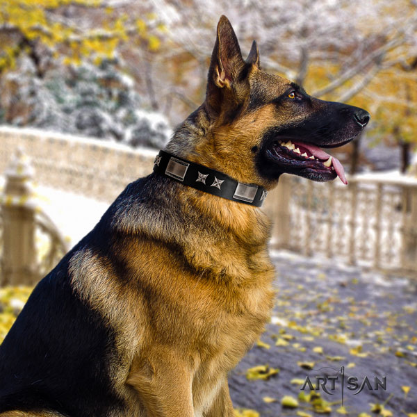 German Shepherd full grain natural leather dog collar with decorations for your stylish pet