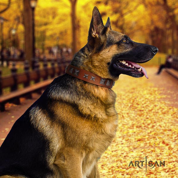 German Shepherd stylish design leather collar with adornments for your doggie