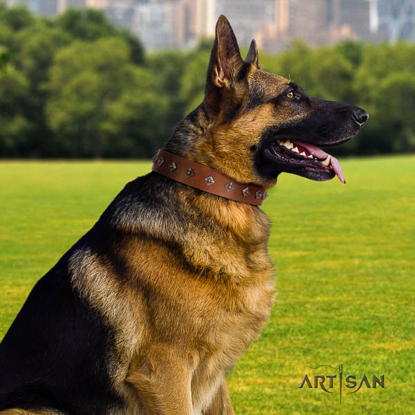 German Shepherd impressive genuine leather collar with studs for your four-legged friend