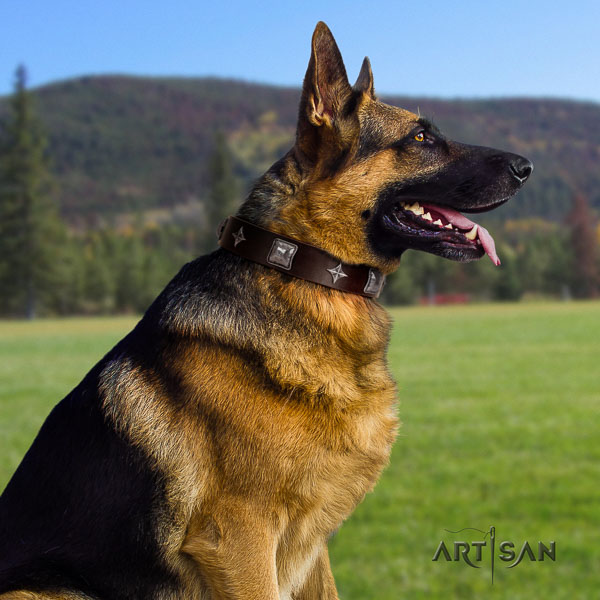 German Shepherd adjustable full grain genuine leather dog collar with fashionable embellishments
