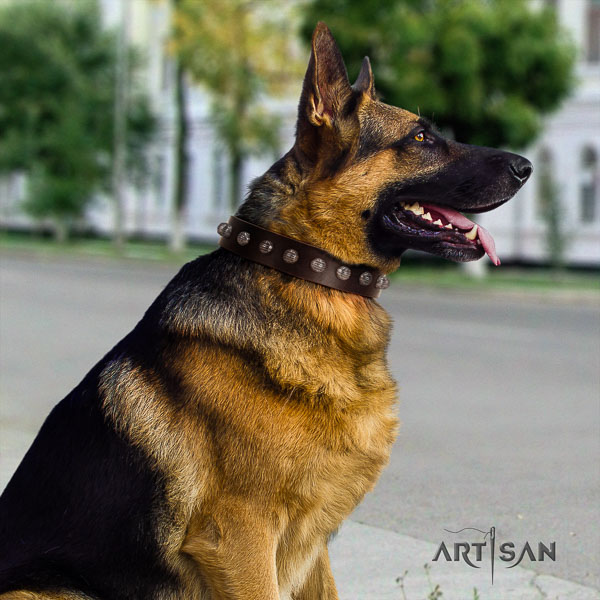 German Shepherd stylish natural genuine leather collar with embellishments for your four-legged friend