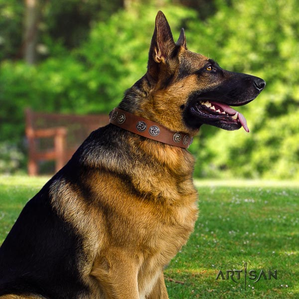 German Shepherd convenient genuine leather dog collar with extraordinary adornments