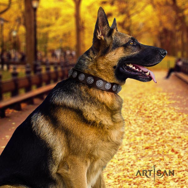 German Shepherd easy wearing full grain natural leather dog collar with amazing decorations