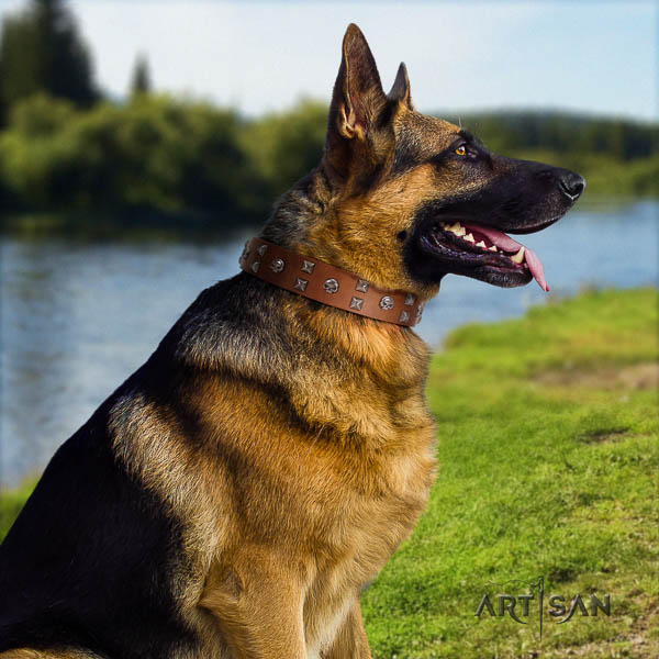 German Shepherd top notch full grain natural leather collar with adornments for your canine