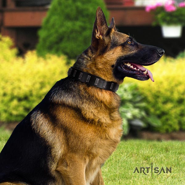 German Shepherd easy wearing leather dog collar with stylish design adornments