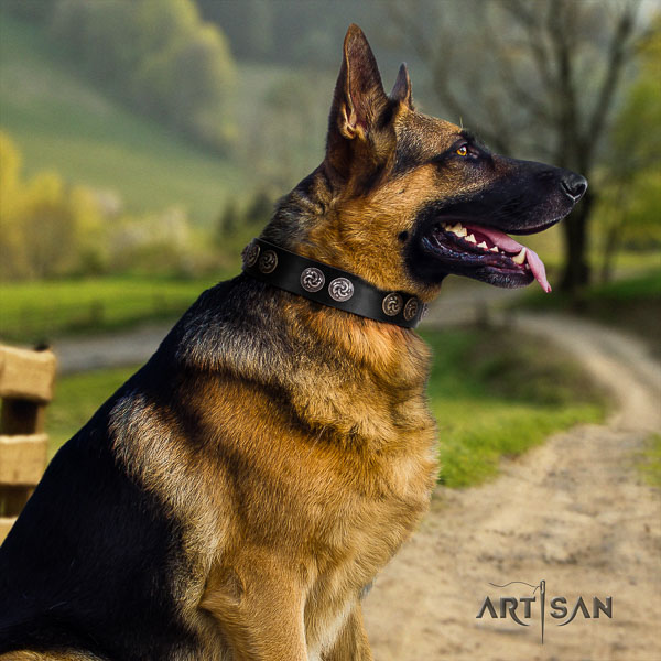 German Shepherd easy adjustable genuine leather dog collar with trendy decorations