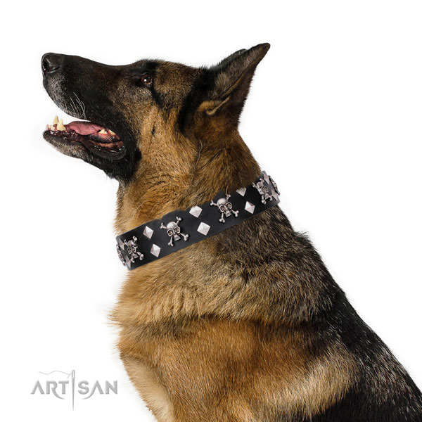 German Shepherd handmade full grain leather dog collar for everyday use
