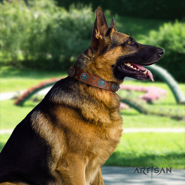 German Shepherd stylish design genuine leather collar with studs for your four-legged friend