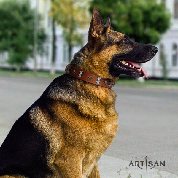 German Shepherd best quality natural genuine leather dog collar with incredible studs