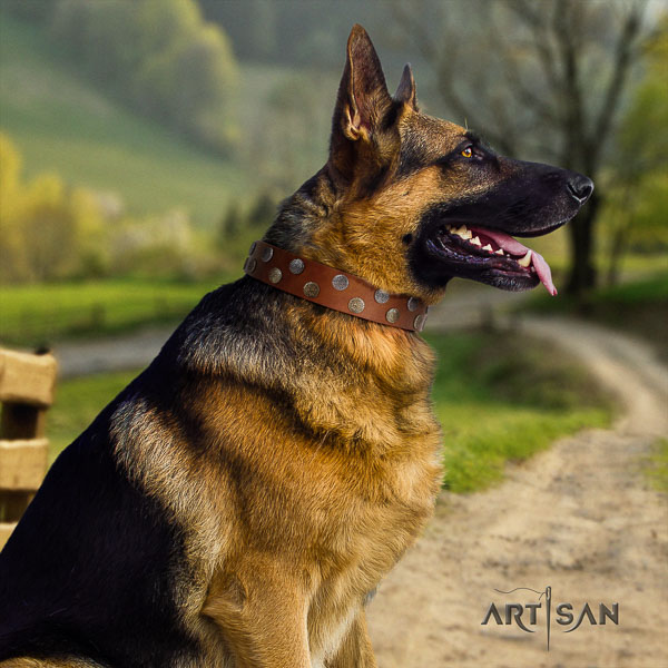 German Shepherd best quality full grain natural leather dog collar with stunning decorations
