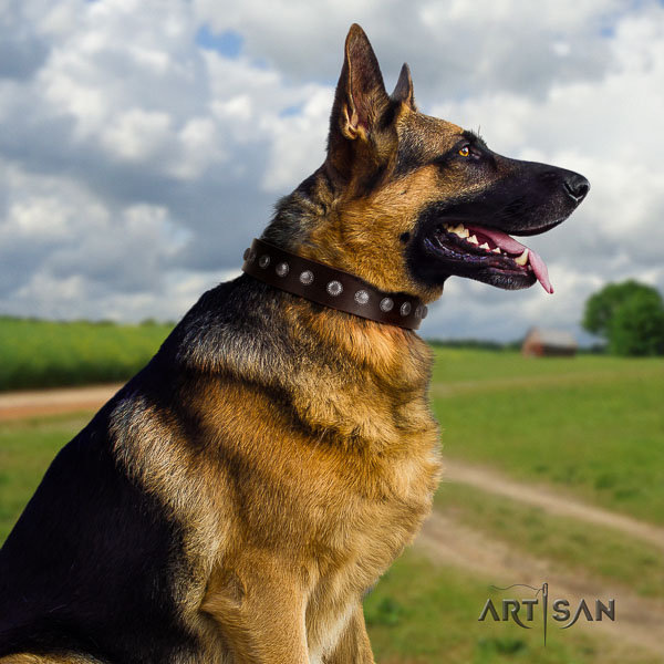 German Shepherd best quality full grain leather dog collar with trendy embellishments