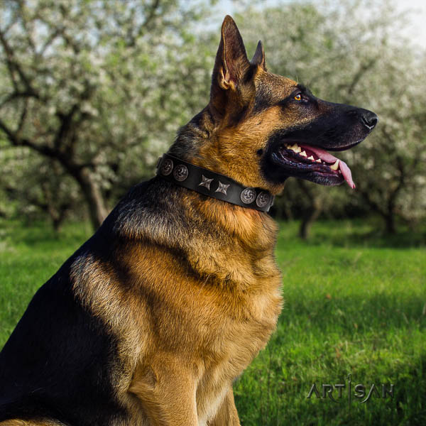 German Shepherd easy to adjust full grain leather collar with embellishments for your dog