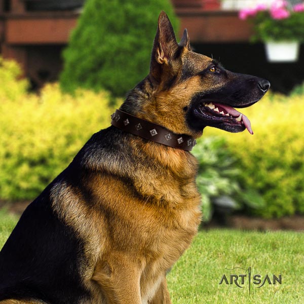 German Shepherd awesome leather collar with embellishments for your doggie