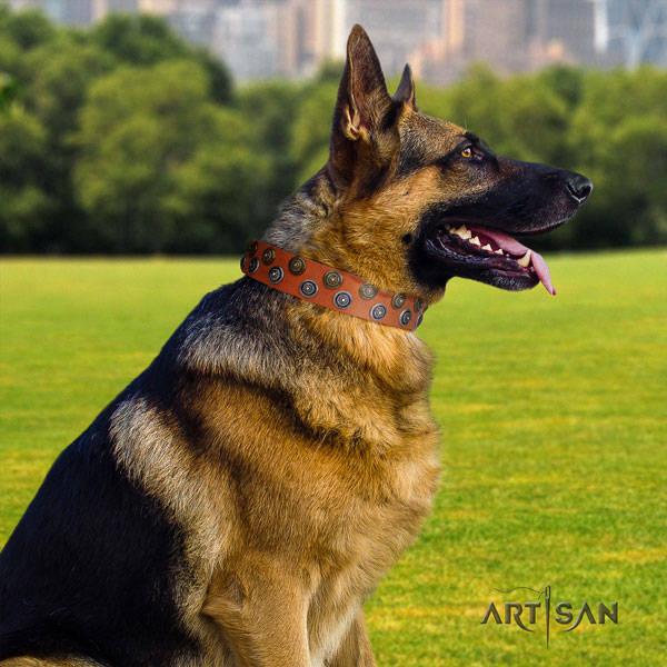 German Shepherd full grain leather dog collar with embellishments for your attractive doggie