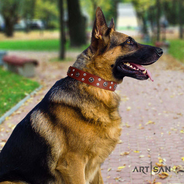 German Shepherd genuine leather dog collar with embellishments for your stylish four-legged friend