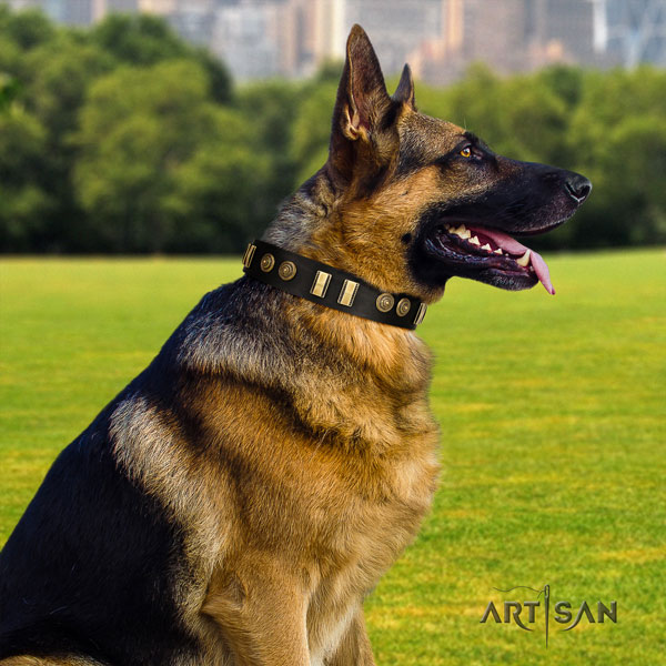 German Shepherd leather dog collar with embellishments for your lovely dog