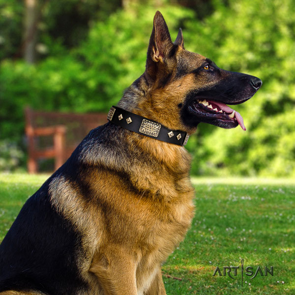 German Shepherd natural genuine leather dog collar with adornments for your stylish doggie