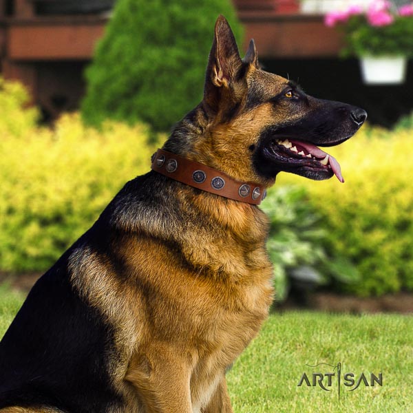 German Shepherd perfect fit natural genuine leather dog collar with stylish design decorations