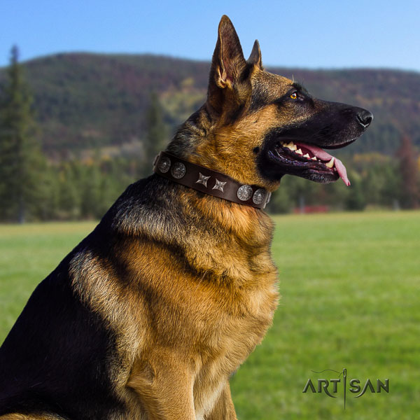 German Shepherd inimitable full grain natural leather collar with studs for your dog