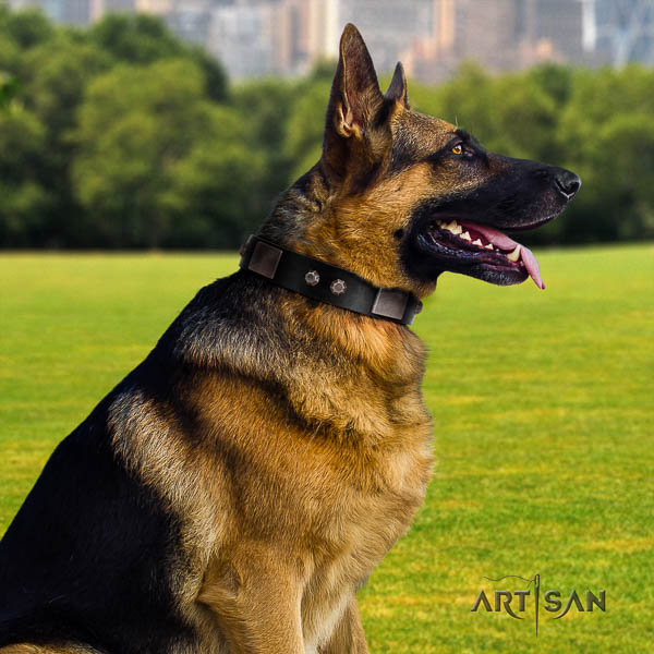 German Shepherd exceptional natural genuine leather collar with embellishments for your four-legged friend