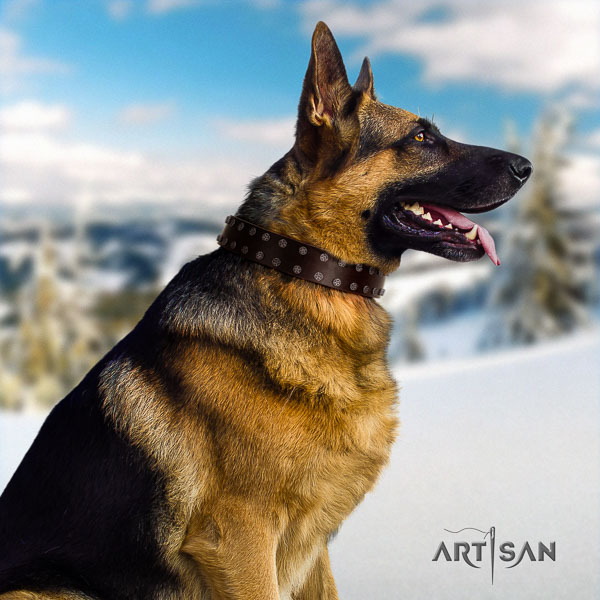 German Shepherd comfortable full grain natural leather dog collar with designer adornments
