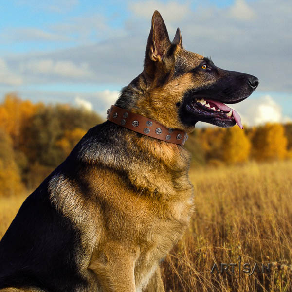 German Shepherd incredible full grain natural leather collar with decorations for your pet