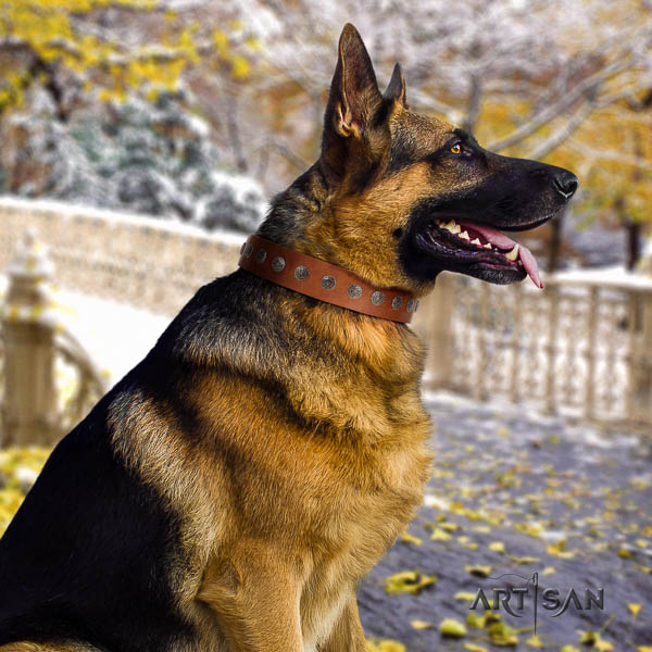 German Shepherd trendy full grain leather collar with decorations for your pet
